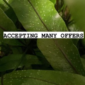 BUNDLE FOR DISCOUNTS